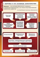 Комплект таблиц. ОБЖ. Здоровый образ жизни. - fgospostavki.ru - Нижний Новгород