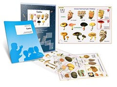 Комплект кодотранспарантов "Грибы" - fgospostavki.ru - Нижний Новгород