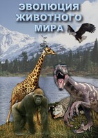 DVD "Эволюция животного мира" - fgospostavki.ru - Нижний Новгород