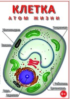 DVD "Клетка - "атом жизни" - fgospostavki.ru - Нижний Новгород