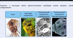 Интерактивные курсы. Биология 5 класс. Расширенный - fgospostavki.ru - Нижний Новгород