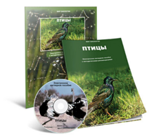 Электронное наглядное пособие «Птицы» - fgospostavki.ru - Нижний Новгород