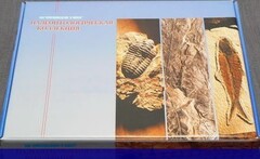 Коллекция "Палеонтологическая" (16 образцов) - fgospostavki.ru - Нижний Новгород