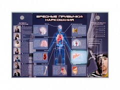 Электрифицированный стенд "Вредные привычки: наркомания" - fgospostavki.ru - Нижний Новгород