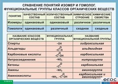 Таблица. Сравнение понятий изомер и гомолог. Функциональные группы классов органических веществ. - fgospostavki.ru - Нижний Новгород