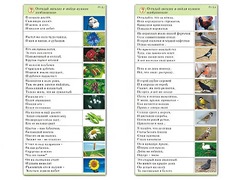 Комплект карточек (10) "Обучающий калейдоскоп. Природа" - fgospostavki.ru - Нижний Новгород