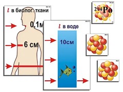 Модель-аппликация "Явление радиоактивности" (ламинированная) - fgospostavki.ru - Нижний Новгород