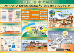 Таблица "Антропогенное воздействие на биосферу" (100х140 сантиметров, винил) - fgospostavki.ru - Нижний Новгород