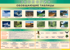 Таблица "Экология. Обобщающие таблицы" (100х140 сантиметров, винил) - fgospostavki.ru - Нижний Новгород