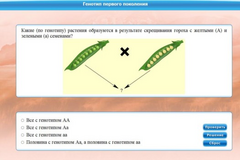 Интерактивные курсы. Биология 11 класс. Базовый. - fgospostavki.ru - Нижний Новгород
