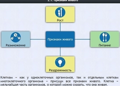 Интерактивные курсы. Биология 5 класс. Базовый - fgospostavki.ru - Нижний Новгород