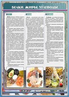Стенд "Белки. Жиры. Углеводы" - fgospostavki.ru - Нижний Новгород