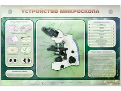 Электрифицированный стенд "Устройство микроскопа и правила работы c ним" - fgospostavki.ru - Нижний Новгород