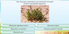 Интерактивные курсы. Окружающий мир 3 класс . Базовый. - fgospostavki.ru - Нижний Новгород