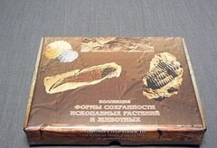 Коллекция "Формы сохранности ископаемых растений и животных" - fgospostavki.ru - Нижний Новгород