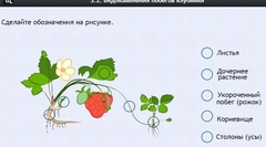 Интерактивные курсы. Биология 7 класс. Расширенный. - fgospostavki.ru - Нижний Новгород