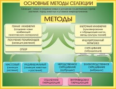 Стенд "Методы селекции и биотехнологии" - fgospostavki.ru - Нижний Новгород