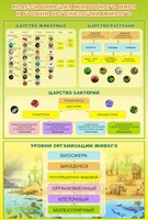 Стенд "Классификация животного мира" - fgospostavki.ru - Нижний Новгород