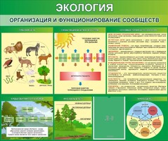 Стенд "Экология. Организация и функционирование сообществ" - fgospostavki.ru - Нижний Новгород