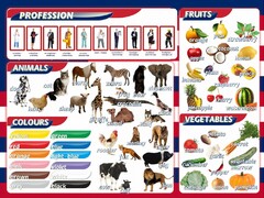 Стенд "Цвета, животные, профессии, фрукты, овощи" - fgospostavki.ru - Нижний Новгород