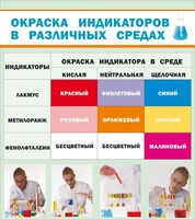 Стенд "Окраска индикаторов в различных средах" - fgospostavki.ru - Нижний Новгород