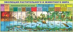 Стенд "Эволюция растительного и животного мира" - fgospostavki.ru - Нижний Новгород