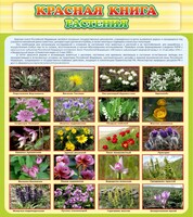 Стенд "Красная книга - растения" - fgospostavki.ru - Нижний Новгород