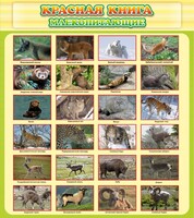 Стенд "Красная книга - млекопитающие" - fgospostavki.ru - Нижний Новгород