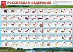 Стенд "Красная книга РФ" - fgospostavki.ru - Нижний Новгород