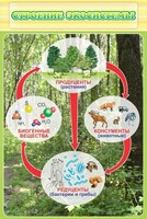 Стенд "Строение экосистемы" - fgospostavki.ru - Нижний Новгород