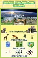 Стенд "Уровни организации живого" - fgospostavki.ru - Нижний Новгород