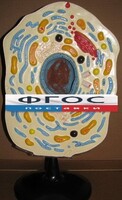 Модель "Клетка животного" - fgospostavki.ru - Нижний Новгород
