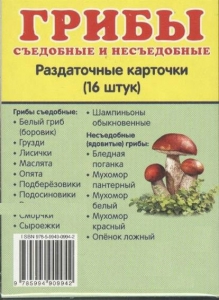 Раздаточные карточки "Грибы съедобные и не съедобные" - fgospostavki.ru - Нижний Новгород