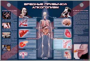 Электрифицированный стенд "Вредные привычки: алкоголизм" - fgospostavki.ru - Нижний Новгород