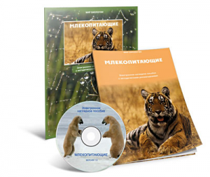Электронное наглядное пособие «Млекопитающие» - fgospostavki.ru - Нижний Новгород