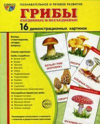 Демонстрационные карточки "Грибы съедобные и не съедобные" - fgospostavki.ru - Нижний Новгород