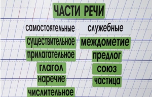 Набор магнитных карточек "Части речи" (фон зелёный) - fgospostavki.ru - Нижний Новгород