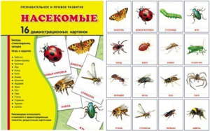 Демонстрационные карточки "Насекомые" - fgospostavki.ru - Нижний Новгород