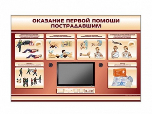 Многофункциональный интерактивный стенд-тренажер "Оказание первой помощи пострадавшим" для учащихся общеобразовательных учреждений - fgospostavki.ru - Нижний Новгород