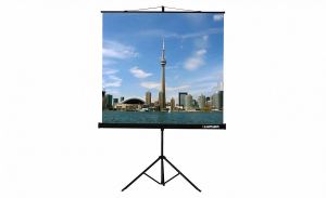 Проекционный экран на штативе Lumien Eco View (LEV-100105) 160x160 см - fgospostavki.ru - Нижний Новгород