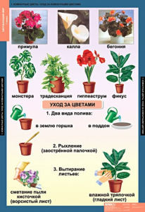 Комплект таблиц. Окружающий мир 1 класс. - fgospostavki.ru - Нижний Новгород