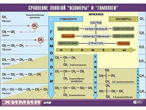 Таблица демонстрационная "Сравнение понятий изомер и гомолог" (винил 70x100) - fgospostavki.ru - Нижний Новгород