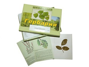 Гербарий "Дикорастущие растения" (30 видов, с иллюстрациями) - fgospostavki.ru - Нижний Новгород