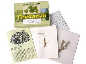 Гербарий "Водоросли. Грибы. Лишайники" (раздаточный) - fgospostavki.ru - Нижний Новгород