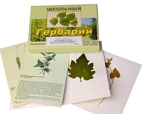 Гербарий "Систематика растений. Высшие споровые и семенные" (раздаточный) - fgospostavki.ru - Нижний Новгород