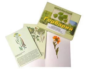 Гербарий "Систематика растений. Семейство Пасленовые. Крестоцветные. Сложноцветные" (раздаточный) - fgospostavki.ru - Нижний Новгород