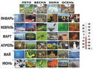 Фенологические наблюдения - fgospostavki.ru - Нижний Новгород