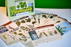 Гербарий к курсу основ общей биологии - fgospostavki.ru - Нижний Новгород