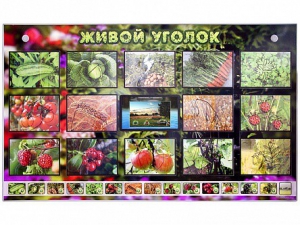 Комплект оборудования "Живой уголок" (растения) с тифлопереводом и сурдокомментариями - fgospostavki.ru - Нижний Новгород