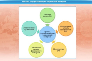 Интерактивные курсы. Обществознание 10 класс. Базовый - fgospostavki.ru - Нижний Новгород